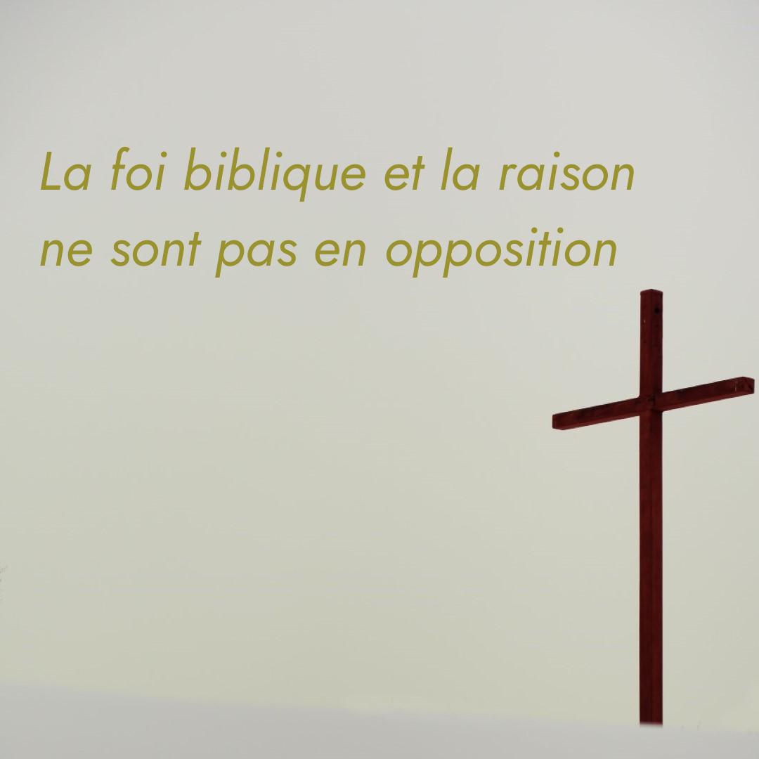 Pensé du jour avec une  bible dans le fond avec le mot sagesse. Nous pouvons retrouver ces images sur le compte Instagram eglise.renens.ab