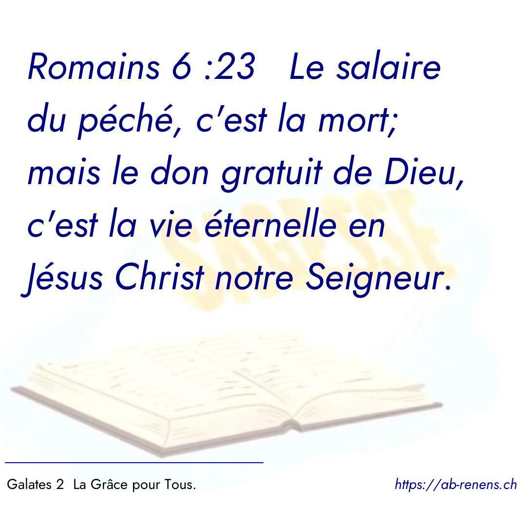 Pensé du jour avec une bible dans le fond avec le mot sagesse. Nous pouvons retrouver ces images sur le compte Instagram eglise.renens.ab
