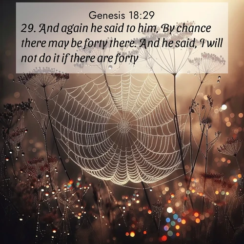 BBE Genesis 18:29 overlaying nature image scene: Morning fog reveals spider galaxies. Dew drops capture rainbow light.;29. And again he said to him, By chance there may be forty there. And he said, I will not do it if there are forty.
