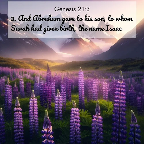 BasicEnglish Genesis  ; image nature: image with the bible verse :And Abraham gave to his son, to whom Sarah had given birth, the name Isaac. ; Discover our curated gallery of Bible verse images with breathtaking scenery, from tranquil deserts to lush green pastures. Perfect for phone wallpapers or sharing online. Download verses like KJV Genesis 21:3. Current verse is overlayed with the thematic nature scene : Wild lupines paint mountain meadows purple. Snow lingers on distant peaks. ; 21:3