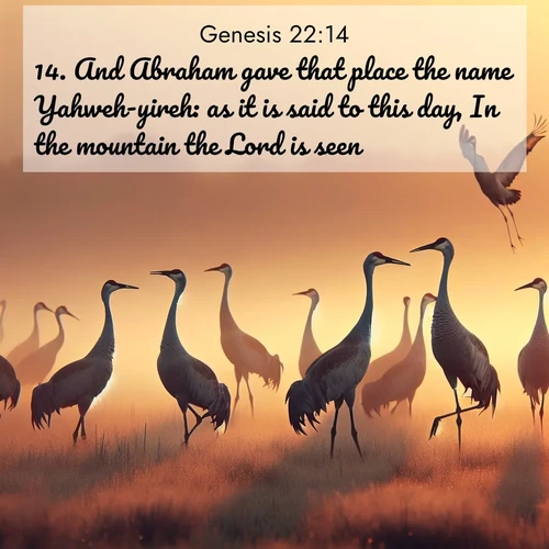 BBE Genesis 22:14 overlaying nature image scene: Sandhill cranes dance in morning mist. Their calls echo across the marsh.;14. And Abraham gave that place the name Yahweh-yireh: as it is said to this day, In the mountain the Lord is seen.