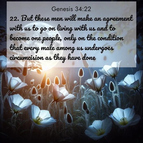 BBE Genesis 34:22 overlaying nature image scene: Moonflowers open to the rising full moon. Night insects hum in harmony.;22. But these men will make an agreement with us to go on living with us and to become one people, only on the condition that every male among us undergoes circumcision as they have done.
