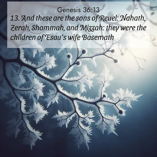 BasicEnglish Genesis  ; image nature: image with the bible verse :And these are the sons of Reuel: Nahath, Zerah, Shammah, and Mizzah: they were the children of Esau&#039;s wife Basemath. ; Admire Bible verse images capturing the beauty of beaches, with turquoise waters, palm trees, and peaceful shores. These soothing scenes reflect God&#039;s serenity and majesty. Download and share verses like KJV Genesis 36:13. Current verse is overlayed with the thematic nature scene : Winter frost coats bare branches in delicate crystal. ; 36:13