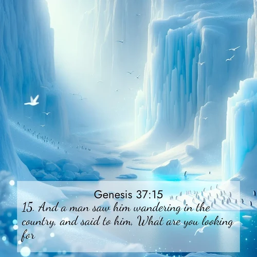 BBE Genesis 37:15 overlaying nature image scene: Antarctic ice cliffs glow blue in the endless polar day. A penguin colony dots the frozen shore below.;15. And a man saw him wandering in the country, and said to him, What are you looking for?