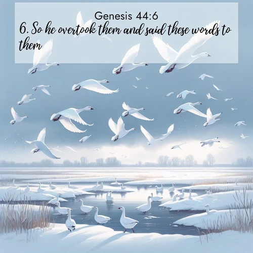 BBE Genesis 44:6 overlaying nature image scene: Snow geese take flight from a winter marsh. Their wings flash white against leaden skies.;6. So he overtook them and said these words to them.