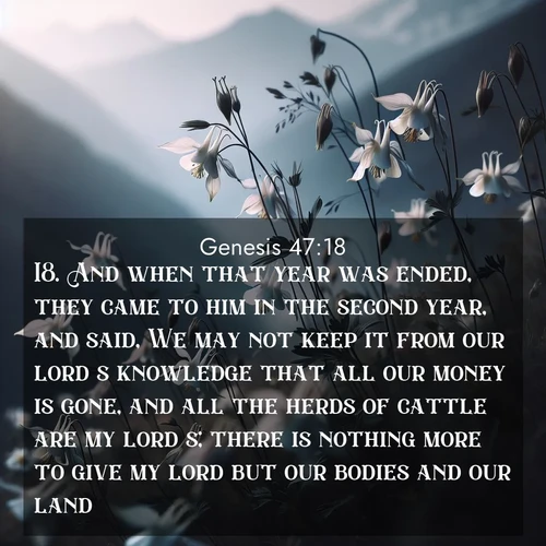 BasicEnglish Genesis  ; image nature: image with the bible verse :And when that year was ended, they came to him in the second year, and said, We may not keep it from our lord&#039;s knowledge that all our money is gone, and all the herds of cattle are my lord&#039;s; there is nothing more to give my lord but our bodies and our land; ; Discover Bible verses beautifully integrated with natural scenes of varied seasons, featuring summer skies, winter snow, autumn leaves, and spring blooms. Each image captures the splendor and peace of God&#039;s creation. Share verses like KJV Genesis 47:18. Current verse is overlayed with the thematic nature scene : Wild columbines dance in breeze. Mountain air carries their perfume. ; 47:18