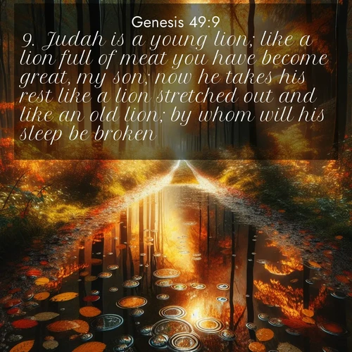 BBE Genesis 49:9 overlaying nature image scene: Autumn colors reflect in rain puddles on a forest path.;9. Judah is a young lion; like a lion full of meat you have become great, my son; now he takes his rest like a lion stretched out and like an old lion; by whom will his sleep be broken?
