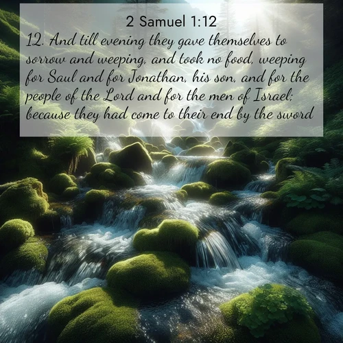 BasicEnglish 2 Samuel  ; image nature: image with the bible verse :And till evening they gave themselves to sorrow and weeping, and took no food, weeping for Saul and for Jonathan, his son, and for the people of the Lord and for the men of Israel; because they had come to their end by the sword. ; Access a vast collection of Bible verse images illustrated with natural landscapes like calm rivers, blooming fields, and bright horizons. These images emphasize the serenity and splendor of God&#039;s creation, accompanied by aesthetic fonts and joyful colors. Download verses like KJV 2 Samuel 1:12 and share them. Current verse is overlayed with the thematic nature scene : Mountain streams tumble through moss. Sunlight creates crystal prisms. ; 1:12