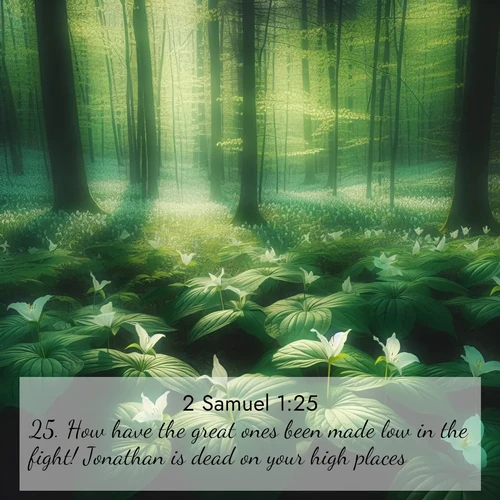 BasicEnglish 2 Samuel  ; image nature: image with the bible verse :How have the great ones been made low in the fight! Jonathan is dead on your high places. ; Admire our gallery of Bible verse images showcasing divine beauty in nature—whether snowy peaks or serene oceans. Each image is freely downloadable and perfect for personal or spiritual use. Share verses like KJV 2 Samuel 1:25. Current verse is overlayed with the thematic nature scene : Wild trillium dots the forest floor. Green light filters through spring leaves. ; 1:25