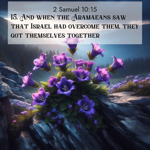 BasicEnglish 2 Samuel  ; image nature: image with the bible verse :And when the Aramaeans saw that Israel had overcome them, they got themselves together. ; Dive into our collection of Bible verses paired with coastal scenes, featuring calming waves, infinite beaches, and reflections of the sun on the water. These images evoke the peace and beauty of God. Share verses like KJV 2 Samuel 10:15. Current verse is overlayed with the thematic nature scene : Wild gentians bloom in rocky cracks. Summer storms gather above treeline. ; 10:15