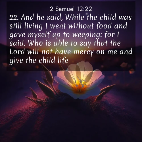 BasicEnglish 2 Samuel  ; image nature: image with the bible verse :And he said, While the child was still living I went without food and gave myself up to weeping: for I said, Who is able to say that the Lord will not have mercy on me and give the child life? ; Discover a gallery of Bible verse images showcasing the beauty of autumn, with golden leaves, red forests, and peaceful fields bathed in soft light. These soothing scenes are perfect for accompanying inspiring verses like KJV 2 Samuel 12:22. Current verse is overlayed with the thematic nature scene : Desert evening primrose opens to the setting sun. Stars emerge in the deepening purple sky. ; 12:22