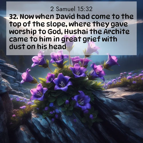 BasicEnglish 2 Samuel  ; image nature: image with the bible verse :Now when David had come to the top of the slope, where they gave worship to God, Hushai the Archite came to him in great grief with dust on his head: ; Access a vast collection of Bible verse images illustrated with natural landscapes like calm rivers, blooming fields, and bright horizons. These images emphasize the serenity and splendor of God&#039;s creation, accompanied by aesthetic fonts and joyful colors. Download verses like KJV 2 Samuel 15:32 and share them. Current verse is overlayed with the thematic nature scene : Wild gentians bloom in rocky cracks. Summer storms gather above treeline. ; 15:32
