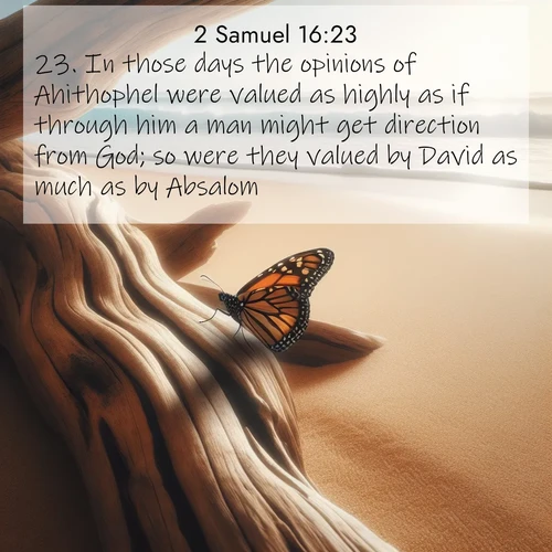BBE 2 Samuel 16:23 overlaying nature image scene: A single monarch butterfly alights on a sun-bleached driftwood log. Waves crash endlessly on the empty beach beyond.;23. In those days the opinions of Ahithophel were valued as highly as if through him a man might get direction from God; so were they valued by David as much as by Absalom.