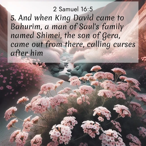 BBE 2 Samuel 16:5 overlaying nature image scene: Desert verbena blooms in hidden washes. Flash floods carved these secret gardens.;5. And when King David came to Bahurim, a man of Saul's family named Shimei, the son of Gera, came out from there, calling curses after him.