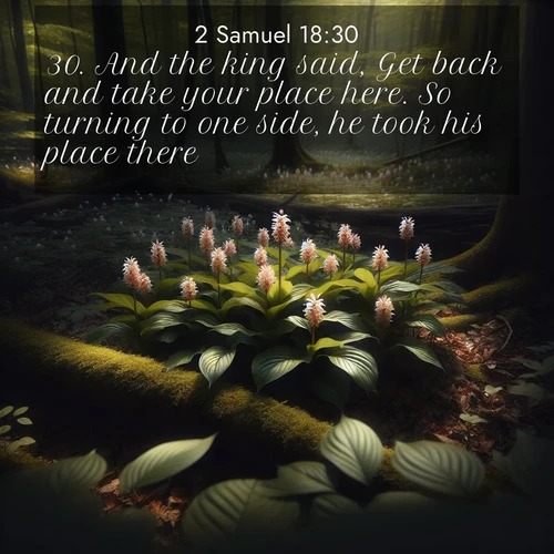 BasicEnglish 2 Samuel  ; image nature: image with the bible verse :And the king said, Get back and take your place here. So turning to one side, he took his place there. ; Dive into our collection of Bible verses paired with breathtaking desert landscapes, featuring infinite dunes, shaded oases, and desert sunsets. These images highlight the majestic grandeur of God&#039;s creation. Download and share verses like KJV 2 Samuel 18:30. Current verse is overlayed with the thematic nature scene : Wild ginger blooms hidden in forest shadows. Filtered sunlight reveals their secret beauty. ; 18:30