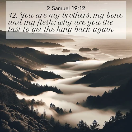 BBE 2 Samuel 19:12 overlaying nature image scene: Coastal fog rolls inland through gaps in seaside hills.;12. You are my brothers, my bone and my flesh; why are you the last to get the king back again?
