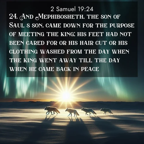 BBE 2 Samuel 19:24 overlaying nature image scene: Arctic wolves traverse windswept tundra. Northern lights paint their fur in shifting colors.;24. And Mephibosheth, the son of Saul's son, came down for the purpose of meeting the king; his feet had not been cared for or his hair cut or his clothing washed from the day when the king went away till the day when he came back in peace.