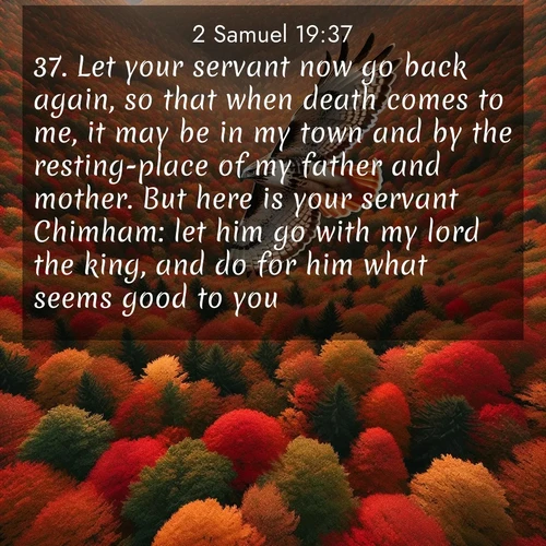 BBE 2 Samuel 19:37 overlaying nature image scene: A red-tailed hawk circles above autumn woods. Leaves below form a mosaic of fire.;37. Let your servant now go back again, so that when death comes to me, it may be in my town and by the resting-place of my father and mother. But here is your servant Chimham: let him go with my lord the king, and do for him what seems good to you.