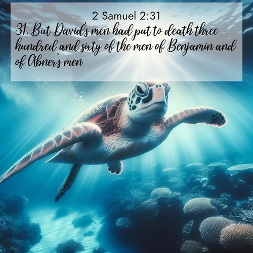 BasicEnglish 2 Samuel  ; image nature: image with the bible verse :But David&#039;s men had put to death three hundred and sixty of the men of Benjamin and of Abner&#039;s men ; Browse beautiful Bible verse images accompanied by peaceful scenes like calm seas, ancient forests, and radiant horizons. Download high-quality, free images featuring verses such as KJV 2 Samuel 2:31. Current verse is overlayed with the thematic nature scene : A sea turtle glides through underwater sunbeams. Coral gardens glow in the depths below. ; 2:31