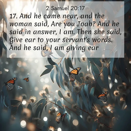 BBE 2 Samuel 20:17 overlaying nature image scene: Monarch butterflies cluster on eucalyptus branches in winter sun.;17. And he came near, and the woman said, Are you Joab? And he said in answer, I am. Then she said, Give ear to your servant's words. And he said, I am giving ear.