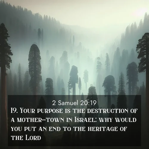 BBE 2 Samuel 20:19 overlaying nature image scene: Ancient sequoias pierce through valley fog. Centuries of growth reach for filtered light.;19. Your purpose is the destruction of a mother-town in Israel: why would you put an end to the heritage of the Lord?