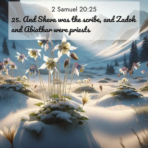 BBE 2 Samuel 20:25 overlaying nature image scene: Wild columbines nod in alpine breeze. Glacier lilies dot snowy meadows.;25. And Sheva was the scribe, and Zadok and Abiathar were priests;