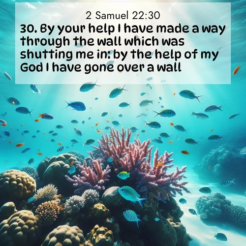 BasicEnglish 2 Samuel  ; image nature: image with the bible verse :By your help I have made a way through the wall which was shutting me in: by the help of my God I have gone over a wall. ; Admire our gallery of Bible verse images paired with serene nature photography, featuring starlit skies, golden sands, and blooming wildflowers. Download and share verses like KJV 2 Samuel 22:30. Current verse is overlayed with the thematic nature scene : Tropical fish dart through coral reefs in crystal-clear waters. ; 22:30