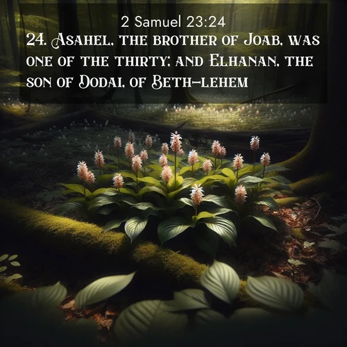 BasicEnglish 2 Samuel  ; image nature: image with the bible verse :Asahel, the brother of Joab, was one of the thirty; and Elhanan, the son of Dodai, of Beth-lehem, ; Explore a collection of free Bible verse images paired with serene landscapes like golden beaches, verdant forests, and clear blue skies. Each image is ideal for desktop or phone wallpapers. Share verses like KJV 2 Samuel 23:24. Current verse is overlayed with the thematic nature scene : Wild ginger blooms hidden in forest shadows. Filtered sunlight reveals their secret beauty. ; 23:24