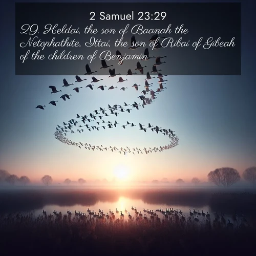 BasicEnglish 2 Samuel  ; image nature: image with the bible verse :Heldai, the son of Baanah the Netophathite, Ittai, the son of Ribai of Gibeah of the children of Benjamin, ; Discover breathtaking Bible verse images combined with vibrant landscapes like rolling hills, blooming gardens, and starry nights. Use them as wallpapers or to inspire others. Download verses like KJV 2 Samuel 23:29. Current verse is overlayed with the thematic nature scene : Wild geese arrow through dawn sky. Their calls wake sleeping marshes. ; 23:29
