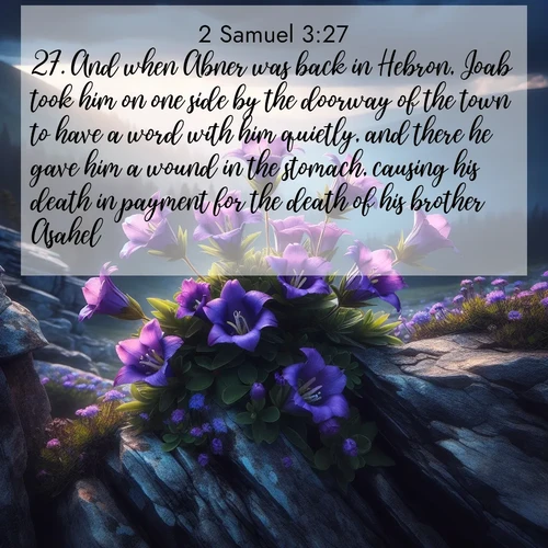BasicEnglish 2 Samuel  ; image nature: image with the bible verse :And when Abner was back in Hebron, Joab took him on one side by the doorway of the town to have a word with him quietly, and there he gave him a wound in the stomach, causing his death in payment for the death of his brother Asahel. ; Explore a collection of free Bible verse images paired with serene landscapes like golden beaches, verdant forests, and clear blue skies. Each image is ideal for desktop or phone wallpapers. Share verses like KJV 2 Samuel 3:27. Current verse is overlayed with the thematic nature scene : Wild gentians bloom in rocky cracks. Summer storms gather above treeline. ; 3:27