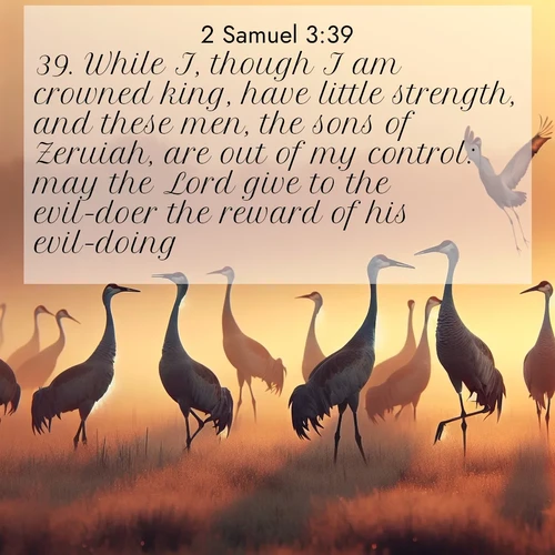 BasicEnglish 2 Samuel  ; image nature: image with the bible verse :While I, though I am crowned king, have little strength, and these men, the sons of Zeruiah, are out of my control: may the Lord give to the evil-doer the reward of his evil-doing! ; Admire Bible images representing autumn, with swirling leaves, misty skies, and vibrant trees. These images inspire profound spiritual reflection. Download and share verses like KJV 2 Samuel 3:39. Current verse is overlayed with the thematic nature scene : Sandhill cranes dance in morning mist. Their calls echo across the marsh. ; 3:39