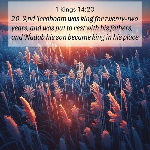 BasicEnglish 1 Kings  ; image nature: image with the bible verse :And Jeroboam was king for twenty-two years, and was put to rest with his fathers, and Nadab his son became king in his place. ; Explore serene Bible verse images adorned with photos of divine creation—tranquil beaches, snowy mountains, and starry skies. Each image is free to download and share. Verses include KJV 1 Kings 14:20. Current verse is overlayed with the thematic nature scene : Winter sunrise illuminates frost-covered prairie grass. ; 14:20