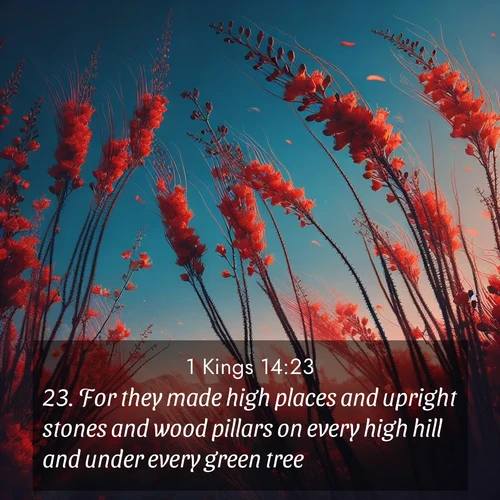 BasicEnglish 1 Kings  ; image nature: image with the bible verse :For they made high places and upright stones and wood pillars on every high hill and under every green tree; ; Admire Bible verse images illustrated by summer photos, such as sunny beaches, sparkling waves, and swaying palm trees. These bright scenes highlight the joy and warmth of God&#039;s creation. Download and share verses like KJV 1 Kings 14:23. Current verse is overlayed with the thematic nature scene : Desert ocotillo flames against blue sky. Wind sings through its scarlet blooms. ; 14:23