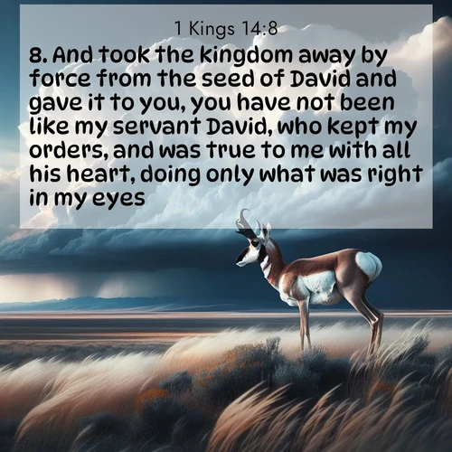 BasicEnglish 1 Kings  ; image nature: image with the bible verse :And took the kingdom away by force from the seed of David and gave it to you, you have not been like my servant David, who kept my orders, and was true to me with all his heart, doing only what was right in my eyes. ; Explore a collection of Bible verses paired with springtime scenes, featuring blooming flowers, lush meadows, and trees in full bloom. These images symbolize divine renewal and hope. Download inspiring verses like KJV 1 Kings 14:8. Current verse is overlayed with the thematic nature scene : A pronghorn pauses on wind-swept plains. Storm clouds build dark towers above. ; 14:8