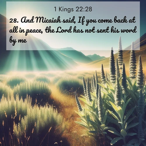 BasicEnglish 1 Kings  ; image nature: image with the bible verse :And Micaiah said, If you come back at all in peace, the Lord has not sent his word by me. ; Discover beautiful Bible verse images that combine inspiring scripture with captivating nature photos. Download high-quality images featuring lush valleys, peaceful streams, and endless horizons like KJV 1 Kings 22:28. Current verse is overlayed with the thematic nature scene : Summer heat brings out the scent of sage in mountain meadows. ; 22:28