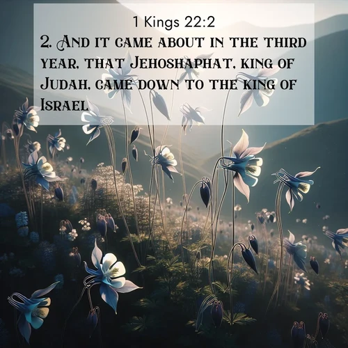 BasicEnglish 1 Kings  ; image nature: image with the bible verse :And it came about in the third year, that Jehoshaphat, king of Judah, came down to the king of Israel. ; Discover a unique collection of Bible verses adorned with winter landscapes, such as snow-covered forests, gently falling snowflakes, and pristine mountains. These images evoke the peace and purity of God&#039;s creation. Share verses like KJV 1 Kings 22:2. Current verse is overlayed with the thematic nature scene : Wild columbines dance on impossibly thin stems. Mountain breezes carry their perfume. ; 22:2