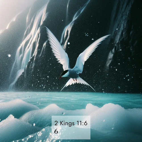 BBE 2 Kings 11:6 overlaying nature image scene: Arctic terns dive through sea spray above turquoise glacial meltwater. Their white wings flash silver against obsidian cliffs.;6. ...