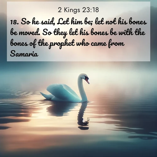 BasicEnglish 2 Kings  ; image nature: image with the bible verse :So he said, Let him be; let not his bones be moved. So they let his bones be with the bones of the prophet who came from Samaria. ; Discover inspiring Bible verse images featuring natural wonders like lush forests, sunny horizons, and cascading waterfalls. Perfect for wallpapers or spiritual encouragement. Download verses like KJV 2 Kings 23:18. Current verse is overlayed with the thematic nature scene : A single swan glides across a misty lake. Dawn paints the water in pastels. ; 23:18
