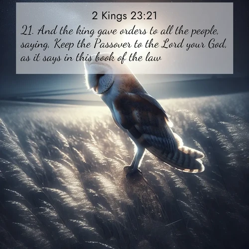 BasicEnglish 2 Kings  ; image nature: image with the bible verse :And the king gave orders to all the people, saying, Keep the Passover to the Lord your God, as it says in this book of the law. ; Admire Bible verse images illustrated by summer photos, such as sunny beaches, sparkling waves, and swaying palm trees. These bright scenes highlight the joy and warmth of God&#039;s creation. Download and share verses like KJV 2 Kings 23:21. Current verse is overlayed with the thematic nature scene : A barn owl quarters silent fields. Moonlight turns meadow grass to silver. ; 23:21
