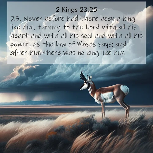 BasicEnglish 2 Kings  ; image nature: image with the bible verse :Never before had there been a king like him, turning to the Lord with all his heart and with all his soul and with all his power, as the law of Moses says; and after him there was no king like him. ; Admire Bible verse images capturing the beauty of beaches, with turquoise waters, palm trees, and peaceful shores. These soothing scenes reflect God&#039;s serenity and majesty. Download and share verses like KJV 2 Kings 23:25. Current verse is overlayed with the thematic nature scene : A pronghorn pauses on wind-swept plains. Storm clouds build dark towers above. ; 23:25