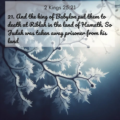 BBE 2 Kings 25:21 overlaying nature image scene: Winter frost coats bare branches in delicate crystal.;21. And the king of Babylon put them to death at Riblah in the land of Hamath. So Judah was taken away prisoner from his land.