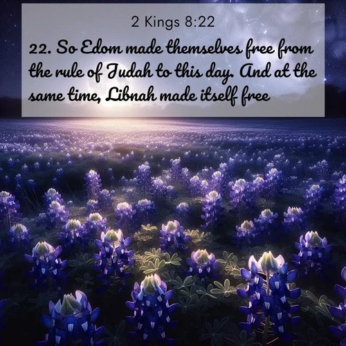 BasicEnglish 2 Kings  ; image nature: image with the bible verse :So Edom made themselves free from the rule of Judah to this day. And at the same time, Libnah made itself free. ; Download stunning Bible verse images paired with nature scenes like rolling clouds, sparkling waters, and vibrant flower fields. These free images are perfect for spiritual reflection or wallpaper use. Share KJV 2 Kings 8:22. Current verse is overlayed with the thematic nature scene : Moonlight illuminates a field of bluebonnets. A warm breeze carries their sweet fragrance across the prairie. ; 8:22