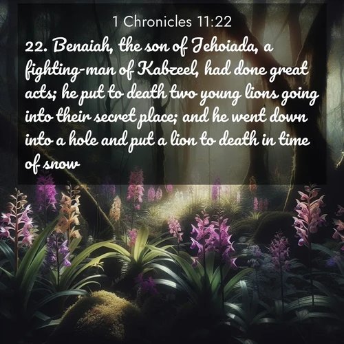 BasicEnglish 1 Chronicles  ; image nature: image with the bible verse :Benaiah, the son of Jehoiada, a fighting-man of Kabzeel, had done great acts; he put to death two young lions going into their secret place; and he went down into a hole and put a lion to death in time of snow. ; Download Bible verse images paired with breathtaking nature photos like golden deserts, shimmering seas, and blossoming orchards. These high-quality, free images are perfect for wallpapers or sharing. Verses include KJV 1 Chronicles 11:22. Current verse is overlayed with the thematic nature scene : Wild orchids bloom in forest shade. Filtered light reveals their grace. ; 11:22