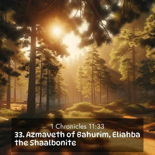 BasicEnglish 1 Chronicles  ; image nature: image with the bible verse :Azmaveth of Bahurim, Eliahba the Shaalbonite, ; Discover Bible images adorned with spring landscapes, like tulip fields, cherry blossoms, and green hills. These bright scenes symbolize God&#039;s renewal and grace. Download verses like KJV 1 Chronicles 11:33. Current verse is overlayed with the thematic nature scene : Summer heat brings out the scent of pine needles. ; 11:33