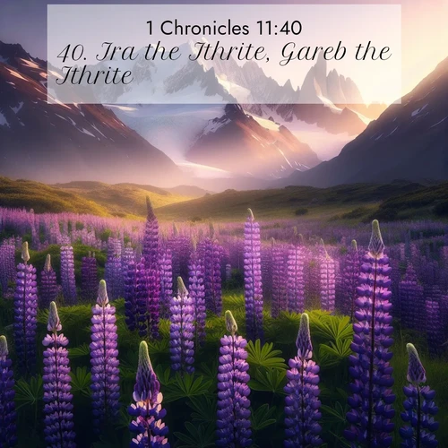 BasicEnglish 1 Chronicles  ; image nature: image with the bible verse :Ira the Ithrite, Gareb the Ithrite, ; Discover beautiful Bible verse images that combine inspiring scripture with captivating nature photos. Download high-quality images featuring lush valleys, peaceful streams, and endless horizons like KJV 1 Chronicles 11:40. Current verse is overlayed with the thematic nature scene : Wild lupines paint mountain meadows purple. Snow lingers on distant peaks. ; 11:40