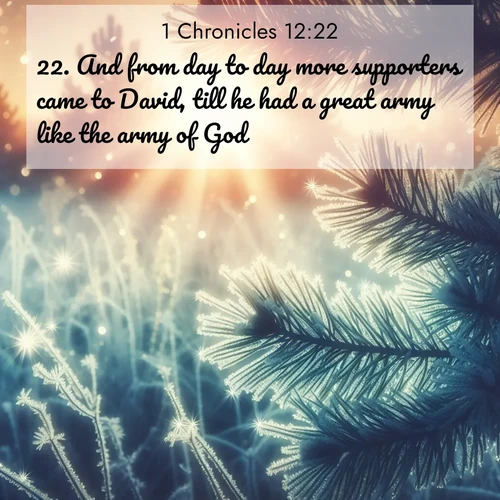 BBE 1 Chronicles 12:22 overlaying nature image scene: Morning frost rimes every needle. Weak sun struggles through branches.;22. And from day to day more supporters came to David, till he had a great army like the army of God.