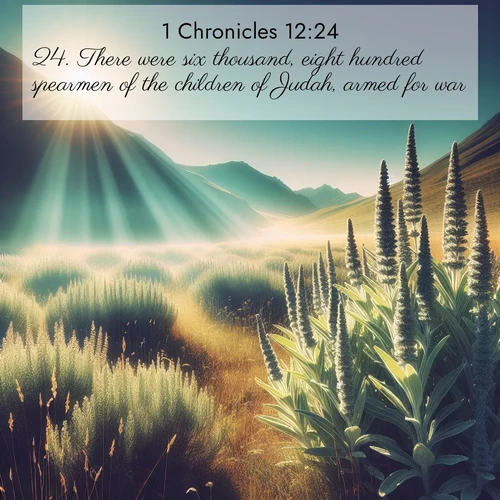 BBE 1 Chronicles 12:24 overlaying nature image scene: Summer heat brings out the scent of sage in mountain meadows.;24. There were six thousand, eight hundred spearmen of the children of Judah, armed for war;