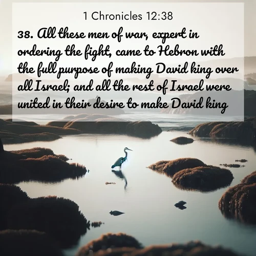 BBE 1 Chronicles 12:38 overlaying nature image scene: A great blue heron fishes in tidal pools. Waves crash on distant reefs.;38. All these men of war, expert in ordering the fight, came to Hebron with the full purpose of making David king over all Israel; and all the rest of Israel were united in their desire to make David king.