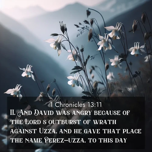 BasicEnglish 1 Chronicles  ; image nature: image with the bible verse :And David was angry because of the Lord&#039;s outburst of wrath against Uzza, and he gave that place the name Perez-uzza, to this day. ; Browse a large collection of Bible verse images with photos showcasing the splendor of nature. Scenes of peaceful rivers, verdant valleys, and radiant skies enhance the inspiring verses. Each image reflects the serenity and joy of God&#039;s creation, with elegant text fonts. Download and share verses such as KJV 1 Chronicles 13:11. Current verse is overlayed with the thematic nature scene : Wild columbines dance in breeze. Mountain air carries their perfume. ; 13:11