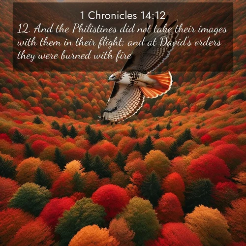 BasicEnglish 1 Chronicles  ; image nature: image with the bible verse :And the Philistines did not take their images with them in their flight; and at David&#039;s orders they were burned with fire. ; Explore Bible verses combined with serene beach photos, desert dunes, and infinite skies, highlighting God&#039;s majesty in every landscape. Download and share inspiring verses like KJV 1 Chronicles 14:12. Current verse is overlayed with the thematic nature scene : A red-tailed hawk circles above autumn woods. Leaves below form a mosaic of fire. ; 14:12